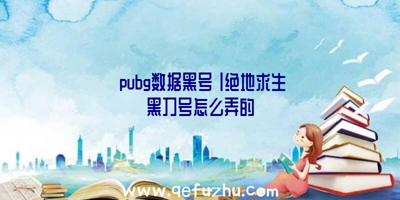 「pubg数据黑号」|绝地求生黑刀号怎么弄的